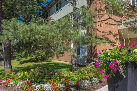 a garden in front of a building with trees and flowers